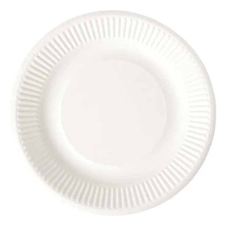 Xenos Bagasse bord - wit - ø18.5x2 cm- Wegwerpservies