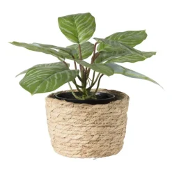 Xenos Bloempot Aaron - ø15x11 cm- Bloempotten