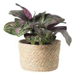 Xenos Bloempot Aaron - ø22x15 cm- Bloempotten