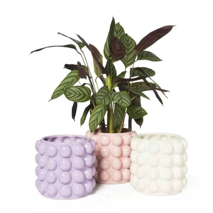 Xenos Bloempot bubbel - wit - ø15x15 cm- Bloempotten
