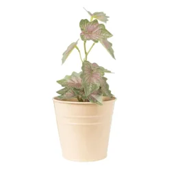 Xenos Bloempot peach - ø10x9.5 cm- Bloempotten