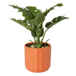 Xenos Bloempot streep - rood - ø11.5x11 cm- Bloempotten