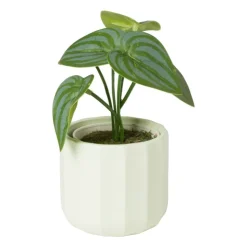 Xenos Bloempotje streep - groen - ø7x6.5 cm- Bloempotten