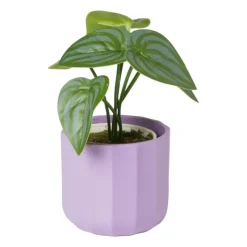 Xenos Bloempotje streep - paars - ø7x6.5 cm- Bloempotten