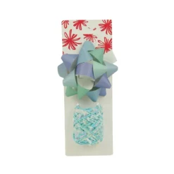 Xenos Cadeaulint en strik mix - groen/blauw - set van 2- Cadeaulinten