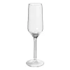 Xenos Champagne glas Aristo - 220 ml- Champagneglazen