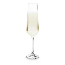 Xenos Champagne glazen kristal - 200 ml - set van 4- Glazensets|Champagneglazen