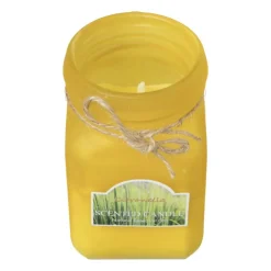 Xenos Citronella kaars - diverse varianten - ø6.5x11.5 cm- Citronella Kaars|Citronella Kaars