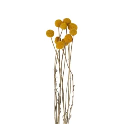 Xenos Craspedia geel - 40-50 cm- Kunstbloemen