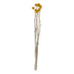 Xenos Craspedia geel - 40-50 cm- Kunstbloemen