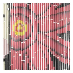 Xenos Deurgordijn Frida met vogel - bamboe - 200x90 cm- Vliegengordijnen