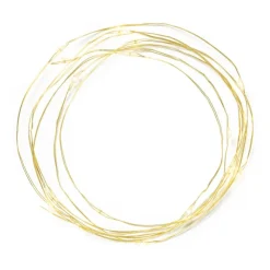 Xenos Draadverlichting - warm wit licht - 20 led lampjes- Kerstverlichting|Kerstboom Verlichting