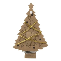Xenos Draadverlichting - warm wit licht - 20 led lampjes- Kerstverlichting|Kerstboom Verlichting