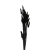 Xenos Droogbloem - Lagurus - zwart - 60 cm- Kunstbloemen