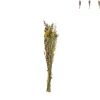Xenos Droogbloem boeketje - diverse varianten - 50 cm- Kunstbloemen