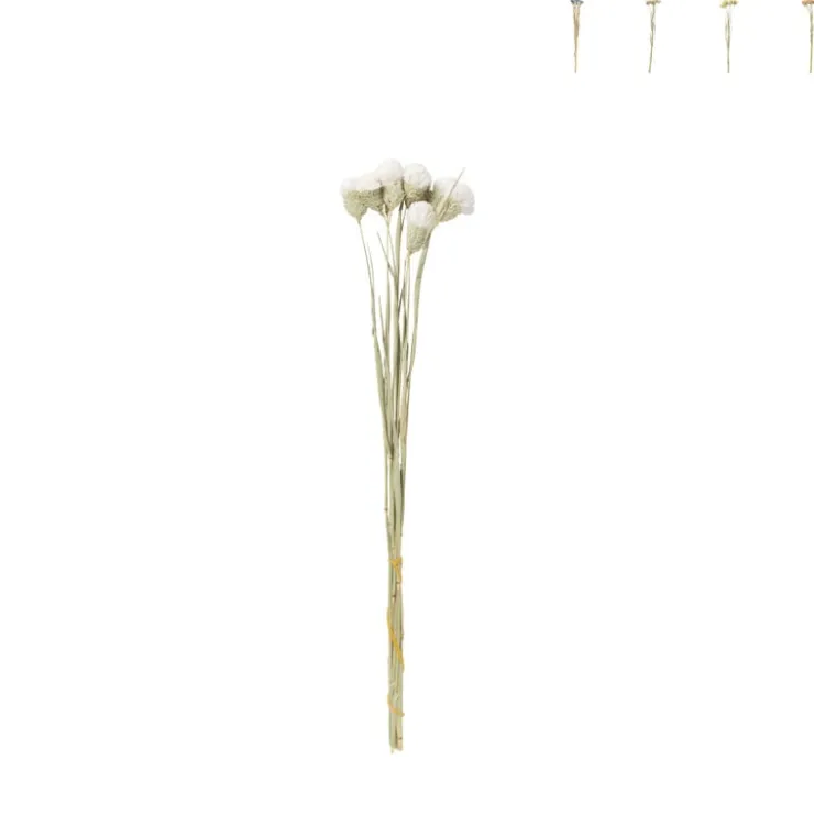 Xenos Droogbloemen - diverse varianten - 38 cm- Kerstcadeaus|Kunstbloemen