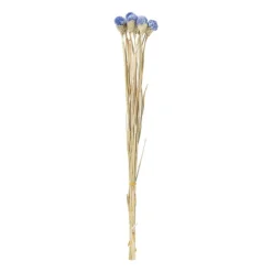 Xenos Droogbloemen - diverse varianten - 38 cm- Kerstcadeaus|Kunstbloemen