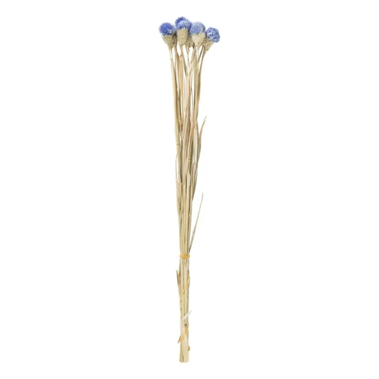 Xenos Droogbloemen - diverse varianten - 38 cm- Kerstcadeaus|Kunstbloemen