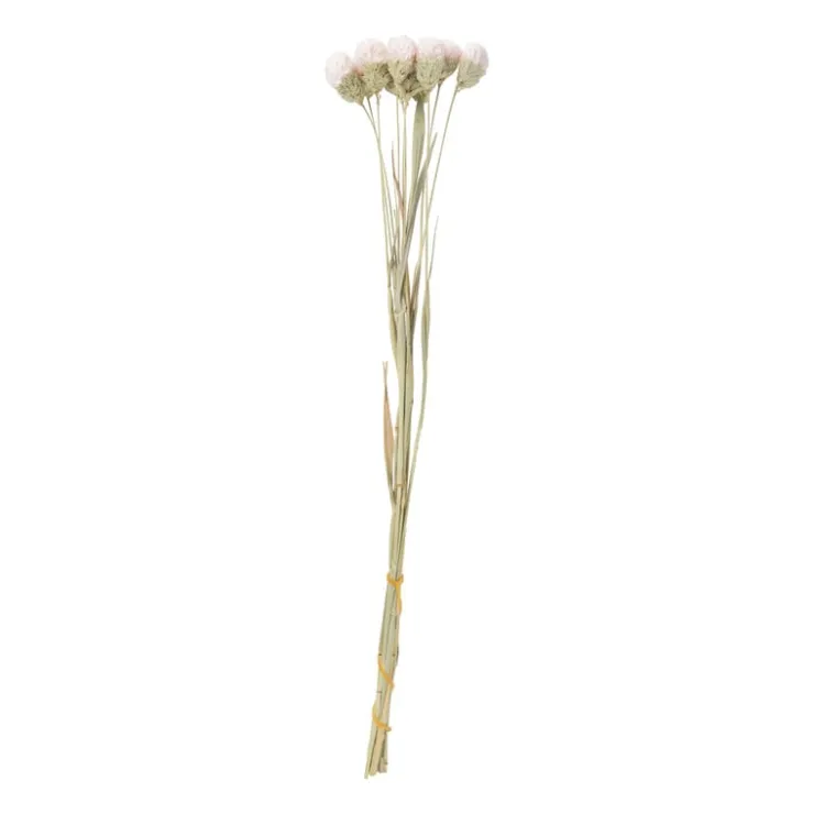 Xenos Droogbloemen - diverse varianten - 38 cm- Kerstcadeaus|Kunstbloemen