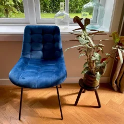 Xenos Eetkamerstoel velvet - donkerblauw - 79x50x44 cm- Eetkamerstoelen