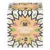 Xenos Fine flavours vruchten thee - tropical fruit - 10 zakjes- Thee