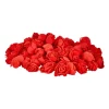 Xenos Foam roosjes rood - set van 100- Knutselspullen