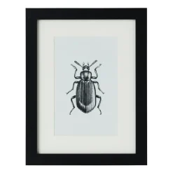 Xenos Fotolijst met passe partout - zwart - 10x15 cm- Fotolijsten
