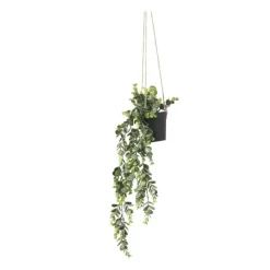 Xenos Hangplant - 65 cm- Kunstplanten