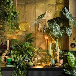 Xenos Hangplant - 65 cm- Kunstplanten