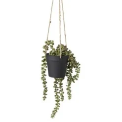 Xenos Hangplantje in pot - zwart - 9x9x70 cm- Kunstplanten