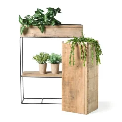 Xenos Hangplantje in potje - lang blad- Kunstplanten