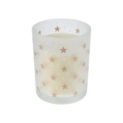 Xenos Kerst geurkaars - ø8x10 cm - diverse varianten- Kerst Knutselen
