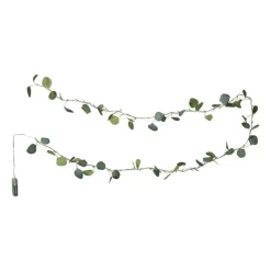 Xenos Kerst lichtslinger met eucalyptus - groen - 2 meter- Kerstverlichting|Kerstboom Verlichting