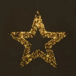 Xenos Kerstverlichting ster groot - warm wit - 58 cm- Kerstverlichting|Kerstboom Verlichting
