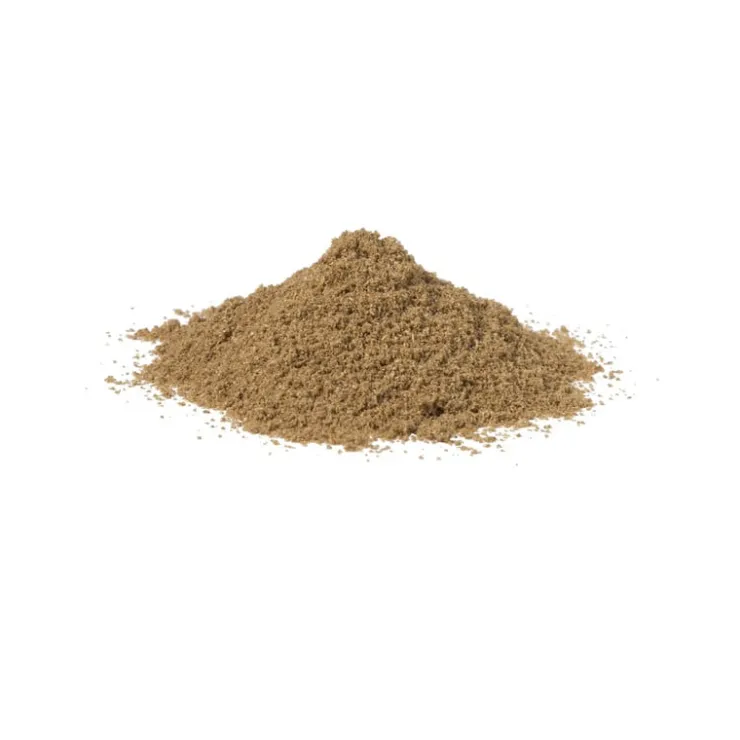 Xenos Koriander gemalen - 50 gram- Kruiden En Specerijen|Indiase Keuken