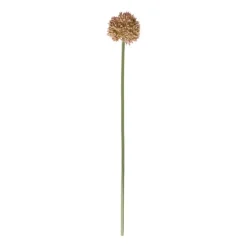 Xenos Kunstbloem allium - diverse varianten - 50 cm- Kunstbloemen