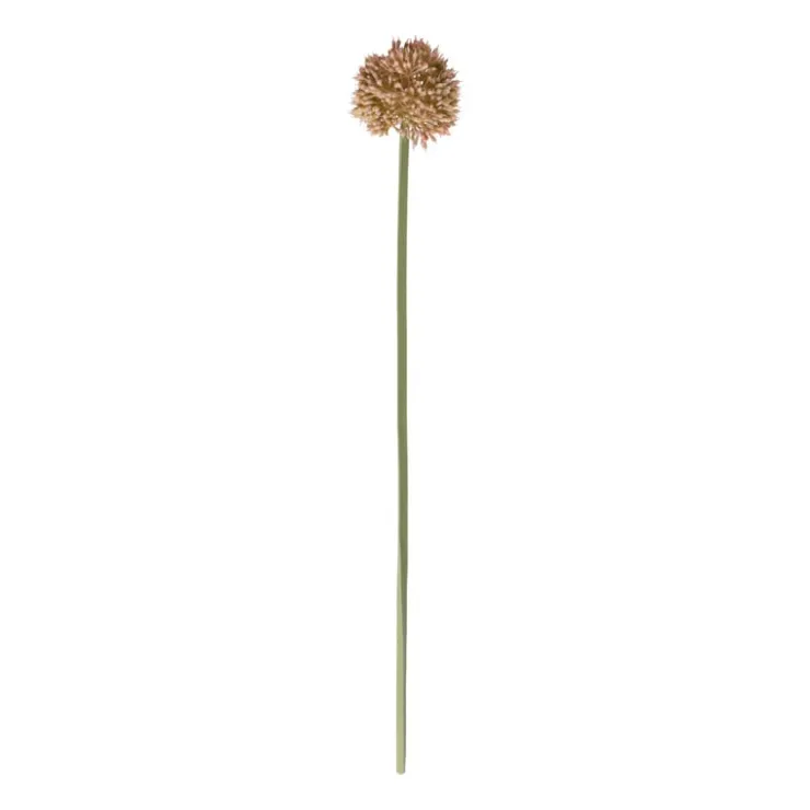 Xenos Kunstbloem allium - diverse varianten - 50 cm- Kunstbloemen