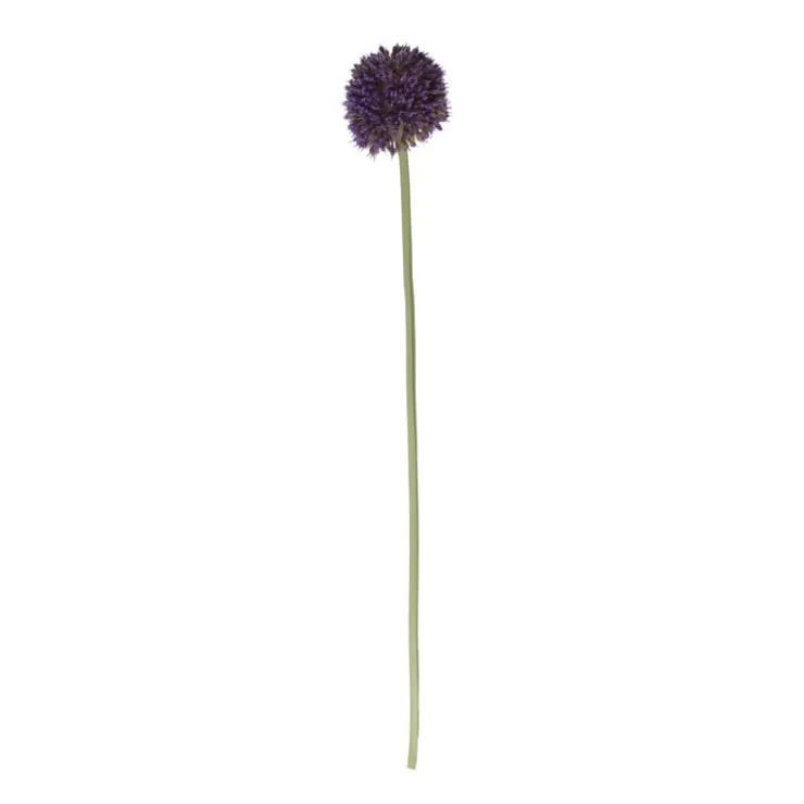Xenos Kunstbloem allium - diverse varianten - 50 cm- Kunstbloemen
