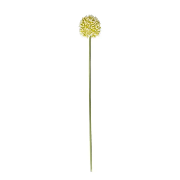 Xenos Kunstbloem allium - diverse varianten - 50 cm- Kunstbloemen