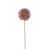 Xenos Kunstbloem allium - paars - 64 cm- Kunstbloemen
