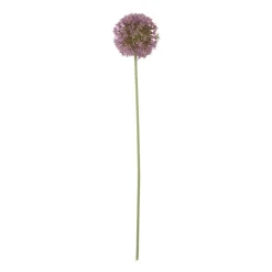 Xenos Kunstbloem allium - paars - 64 cm- Kunstbloemen