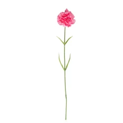 Xenos Kunstbloem anjer - diverse varianten - 58 cm- Kunstbloemen