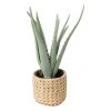 Xenos Kunstplant aloe vera - 33 cm- Kunstplanten