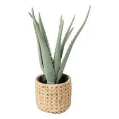 Xenos Kunstplant aloe vera - 33 cm- Kunstplanten