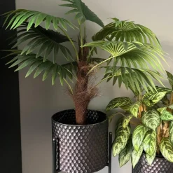 Xenos Kunstplant Chinese waaierpalm - 90 cm- Kunstplanten