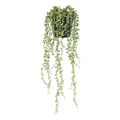 Xenos Kunstplant erwtenplantje in pot - groen/zwart - 53 cm- Kunstplanten