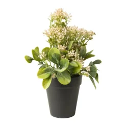 Xenos Kunstplant kalanchoe - roze - 24 cm- Kunstplanten