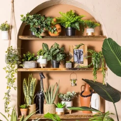Xenos Kunstplant klimop - ø9 cm- Kunstplanten