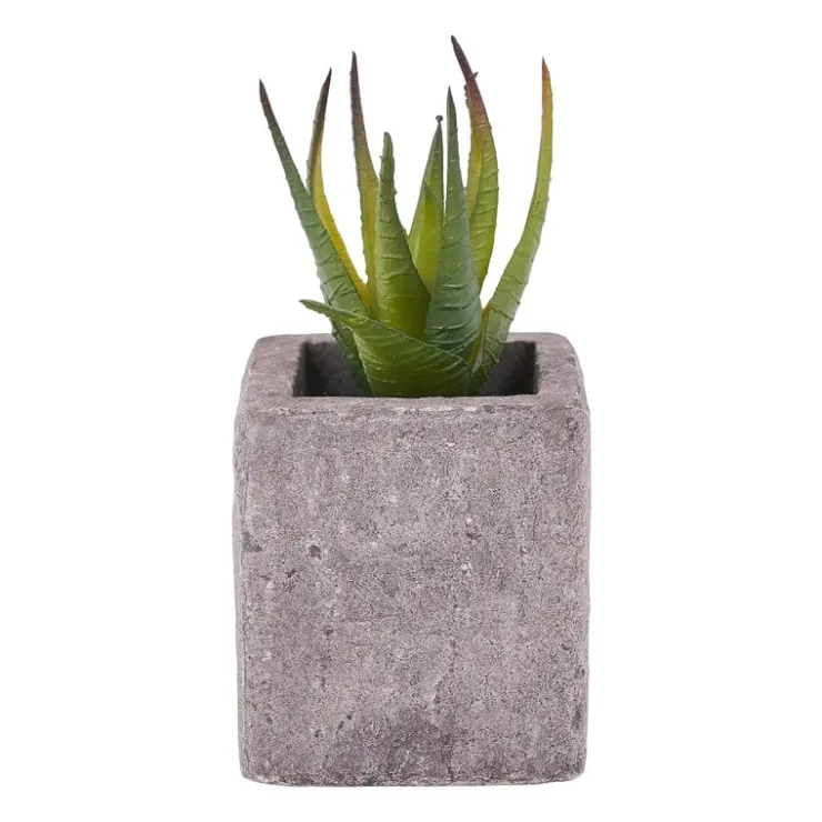 Xenos Kunstplantje in pot met magneet - diverse varianten- Kunstplanten