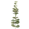 Xenos Kunsttak eucalyptus - groen - 40.5 cm- Kunstbloemen